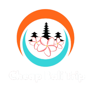 Cheap Bali Trip